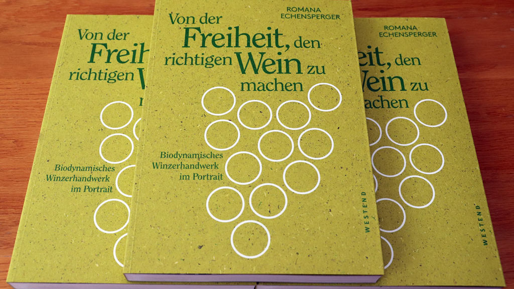 gewinnspiel dezember 2020